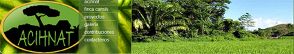 banner achinat